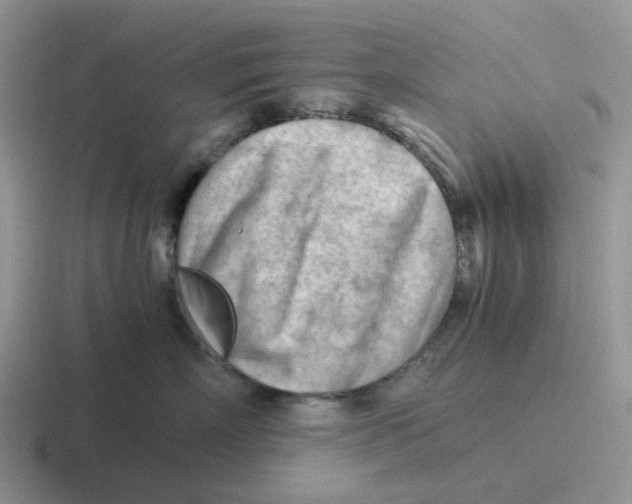 X0000116640718201001041031