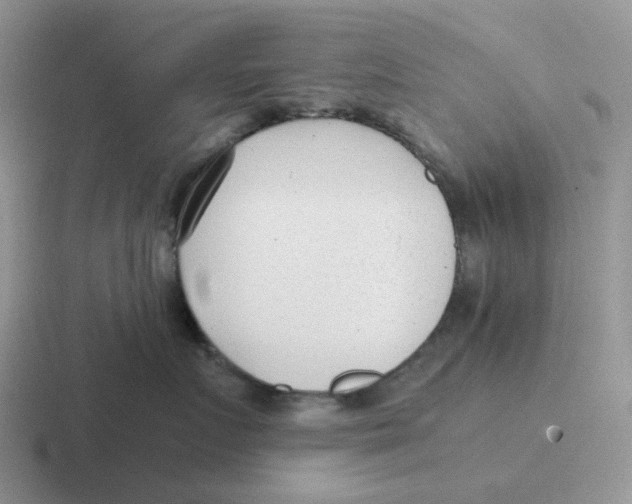 X0000116640719201001041031