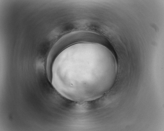 X0000116640720201001041031