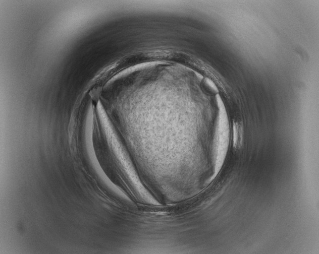 X0000116640723201001041030