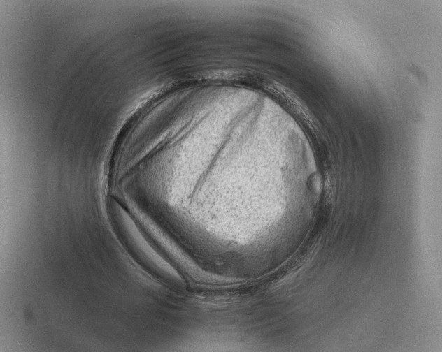 X0000116640725201001041030