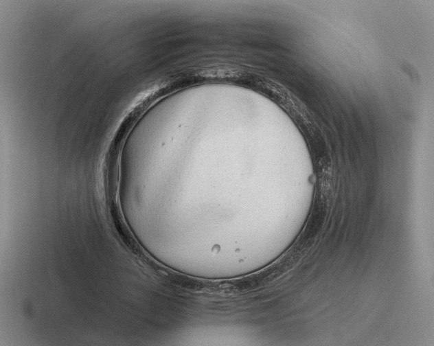 X0000116640727201001041030