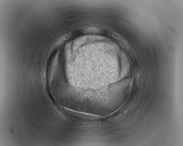 X0000116640729201001041030