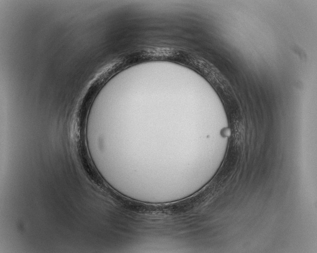 X0000116640731201001041030