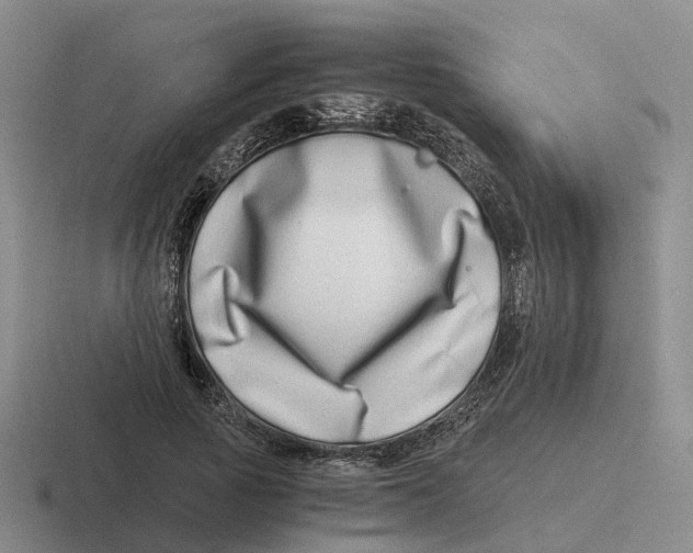 X0000116640737201001041030