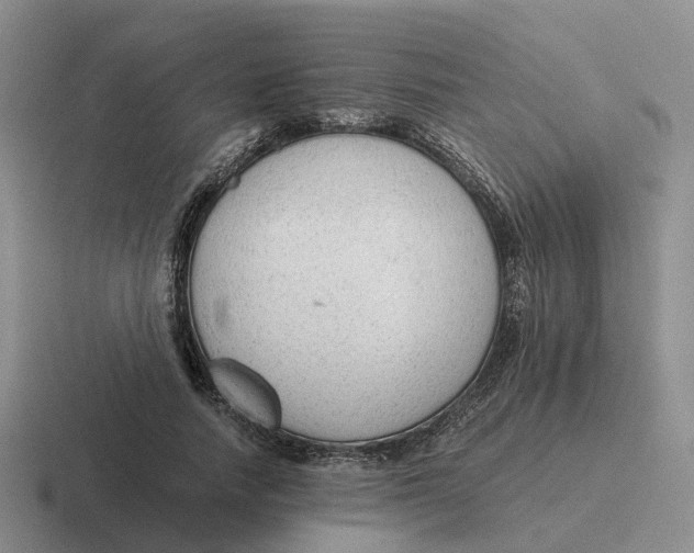 X0000116640738201001041030