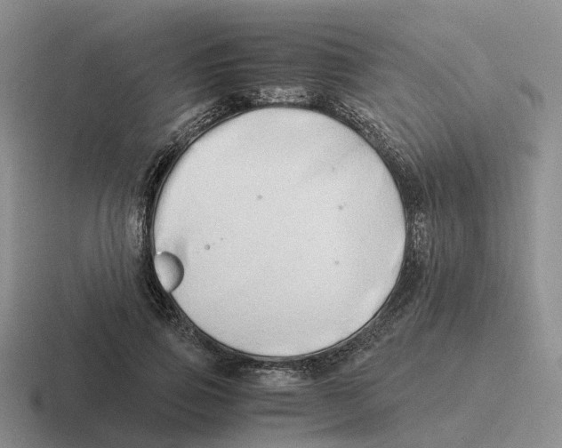 X0000116640741201001041030