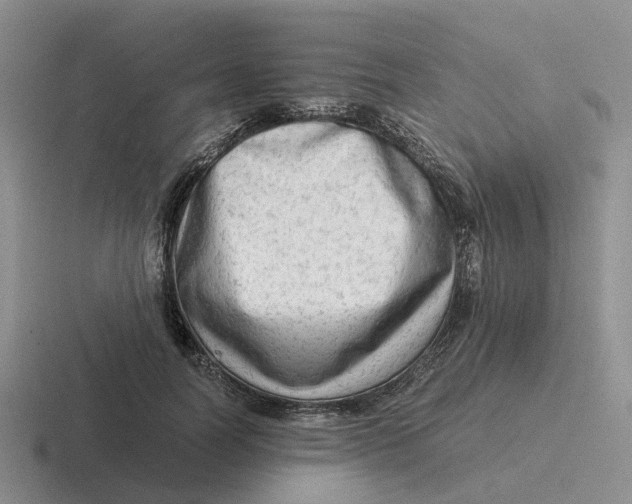 X0000116640746201001041030