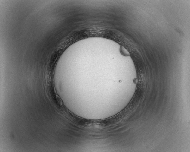 X0000116640751201001041030