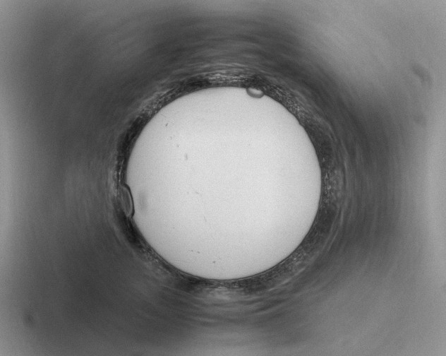 X0000116640755201001041030