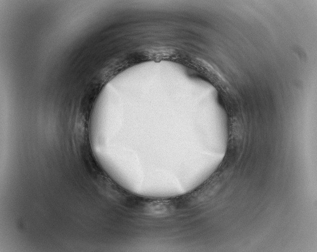 X0000116640761201001041031