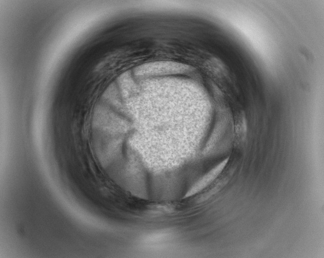 X0000116640765201001041031