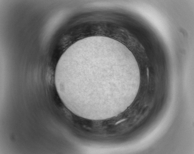 X0000116640766201001041031