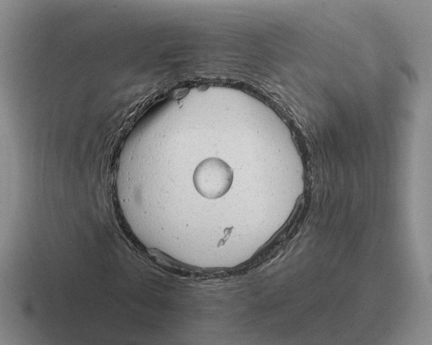 X0000116640769201001041030