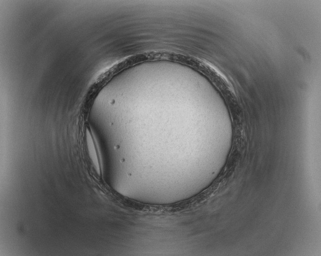 X0000116640775201001041030