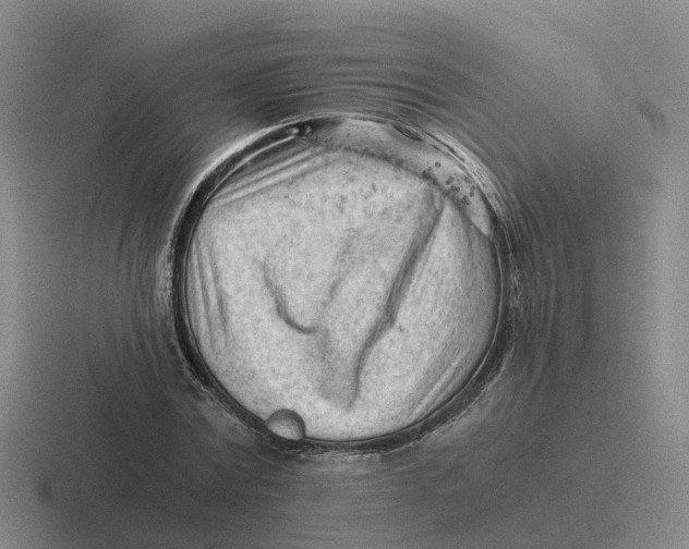 X0000116640779201001041030