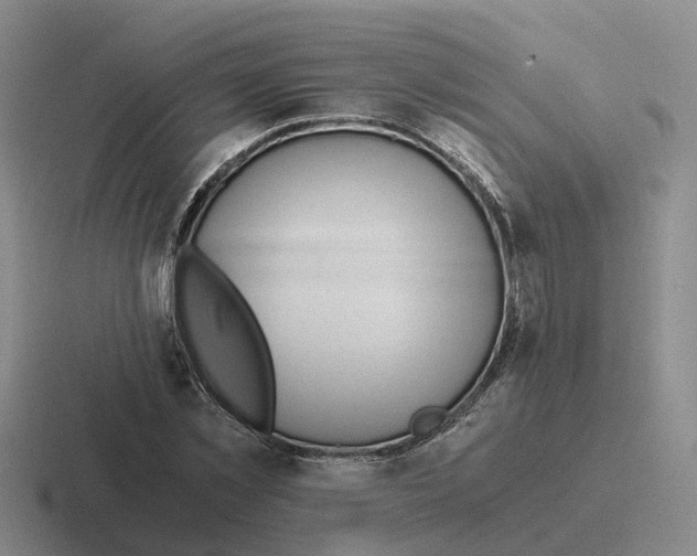 X0000116640781201001041030