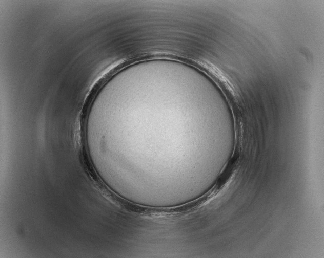 X0000116640782201001041030