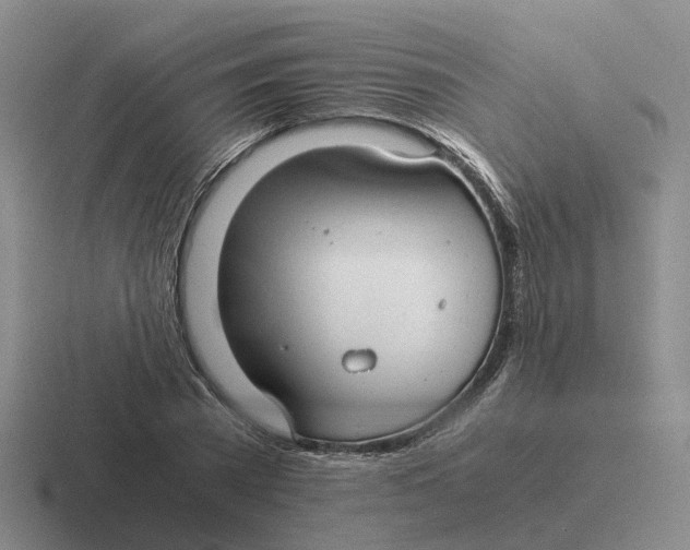 X0000116640785201001041030