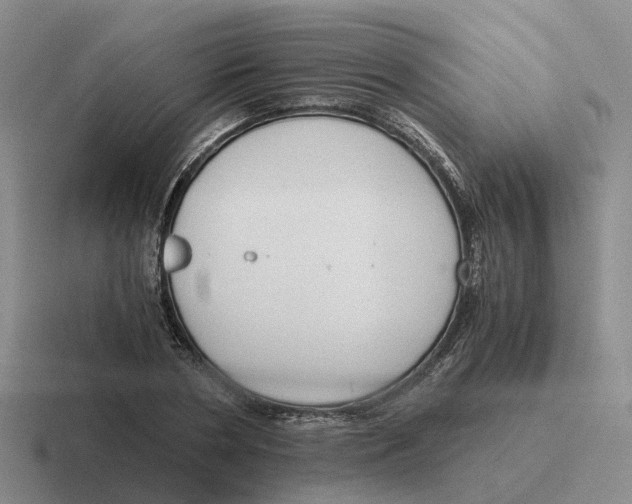 X0000116640786201001041030