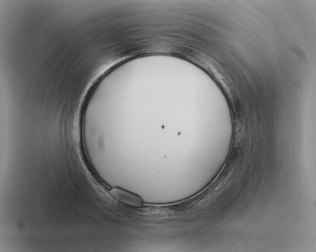 X0000116640795201001041030