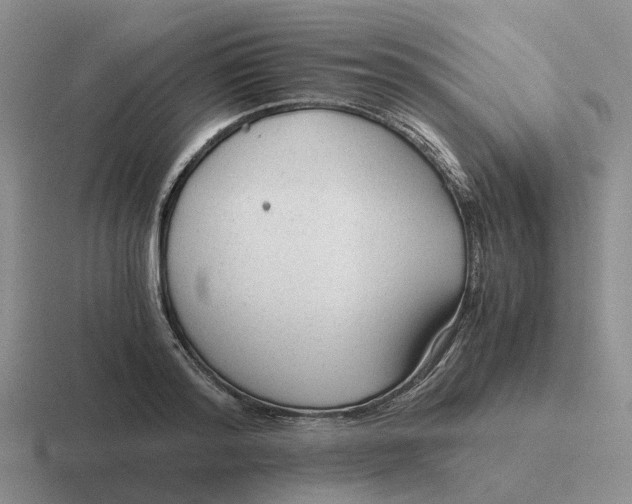 X0000116640796201001041030