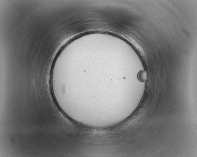 X0000116640799201001041030