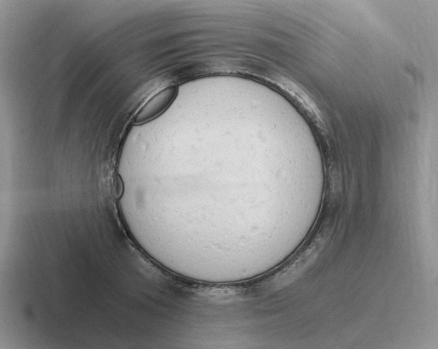 X0000116640801201001041030