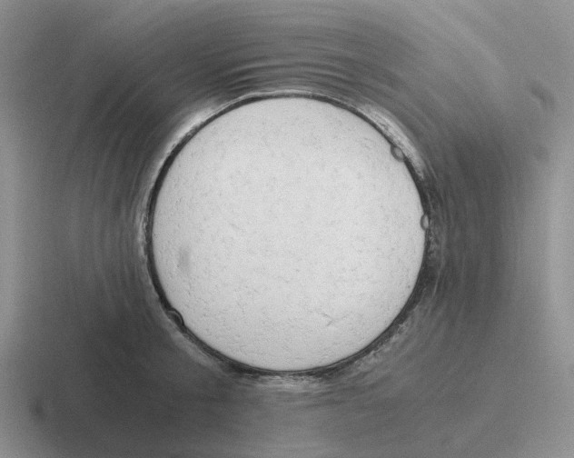 X0000116640805201001041030