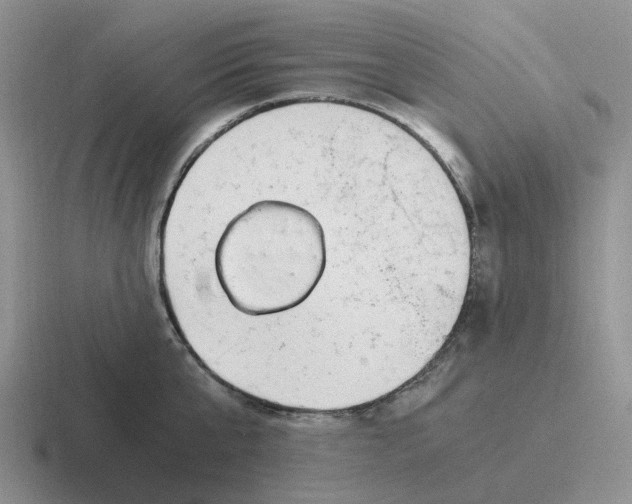 X0000116640807201001041030