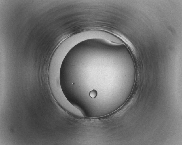 X0000116640809201001041030