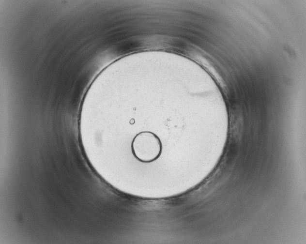 X0000116640810201001041030