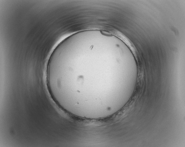 X0000116640811201001041030