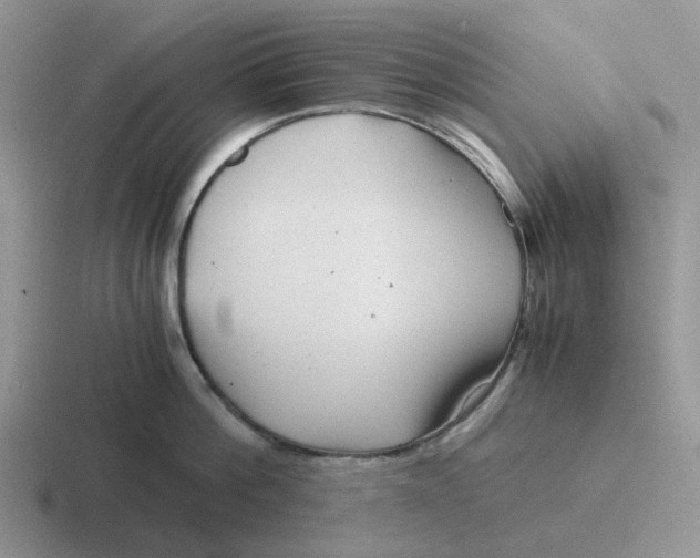 X0000116640812201001041030