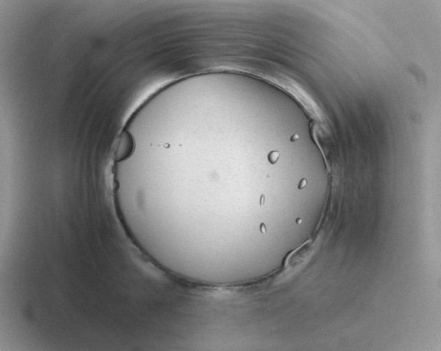 X0000116640814201001041029