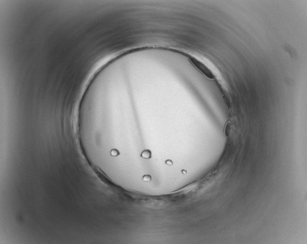 X0000116640815201001041029