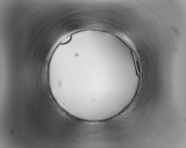 X0000116640816201001041029