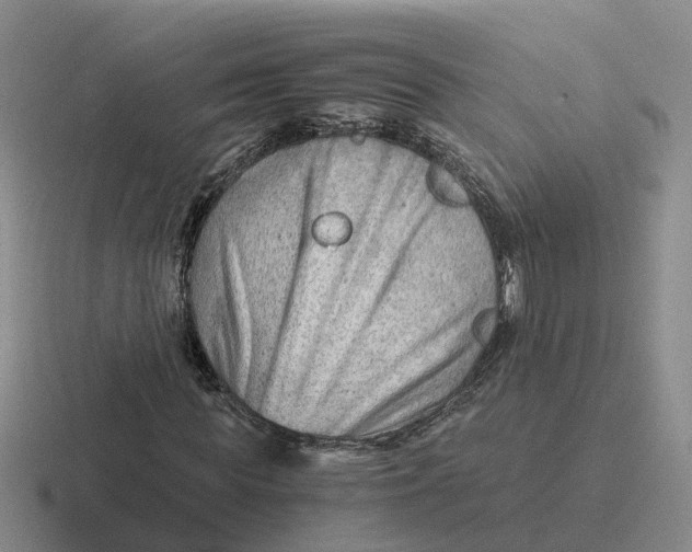 X0000116640819201001041029