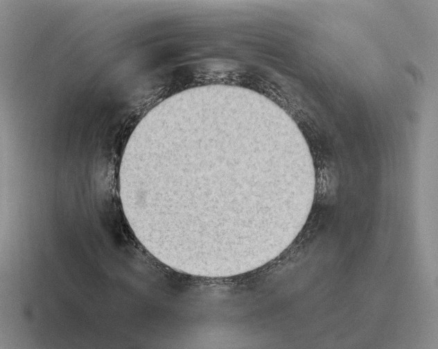 X0000116640820201001041029