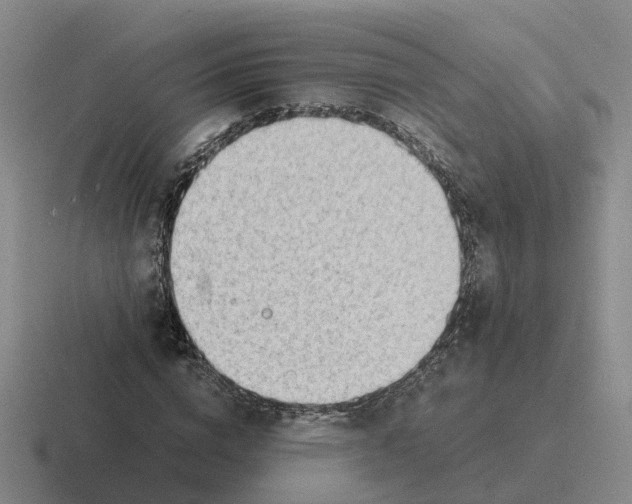 X0000116640824201001041029