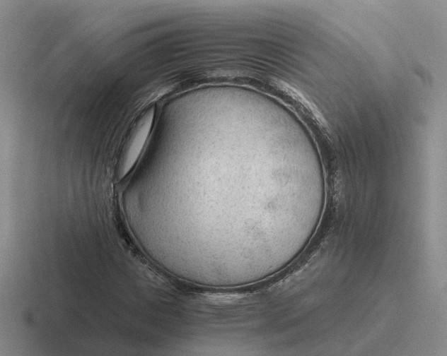 X0000116640825201001041029