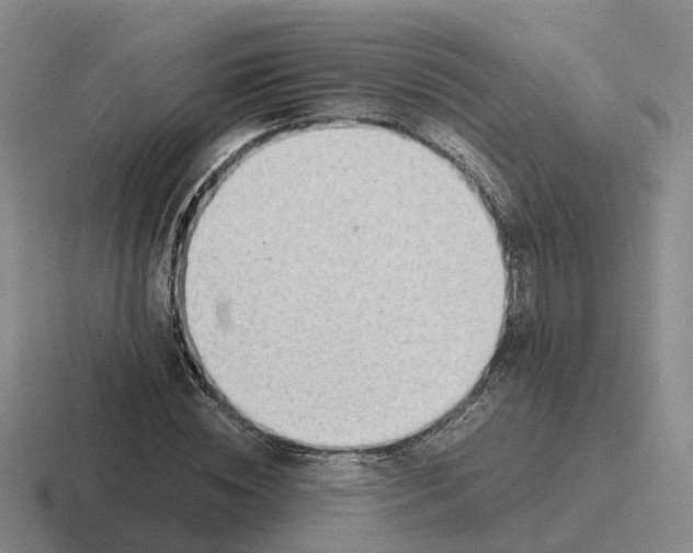 X0000116640828201001041029