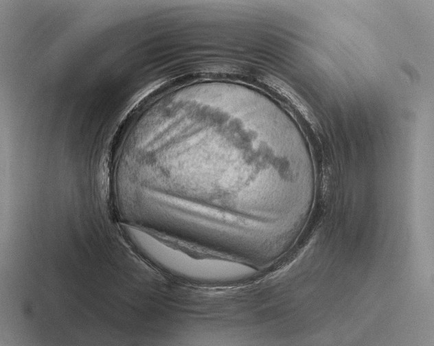 X0000116640829201001041029