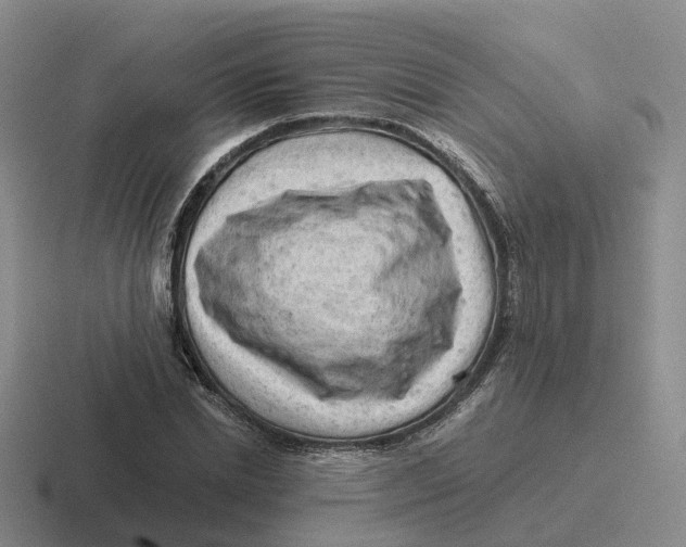 X0000116640830201001041029