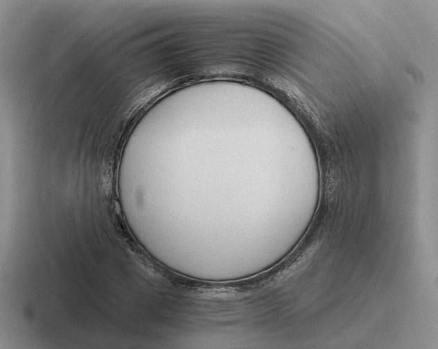 X0000116640833201001041029