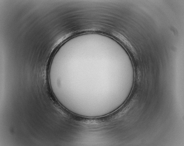 X0000116640834201001041029