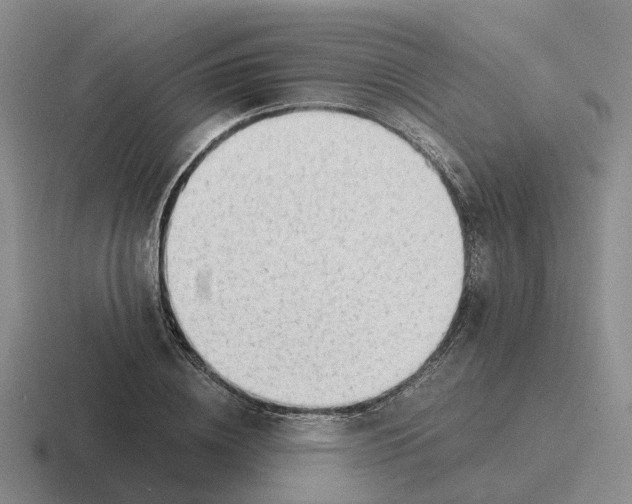 X0000116640836201001041029