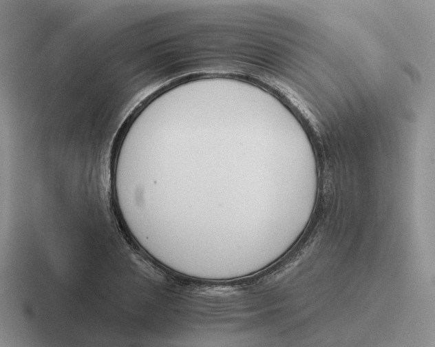 X0000116640837201001041029