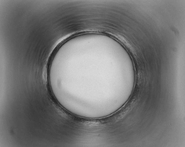 X0000116640838201001041029