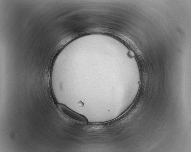 X0000116640841201001041029